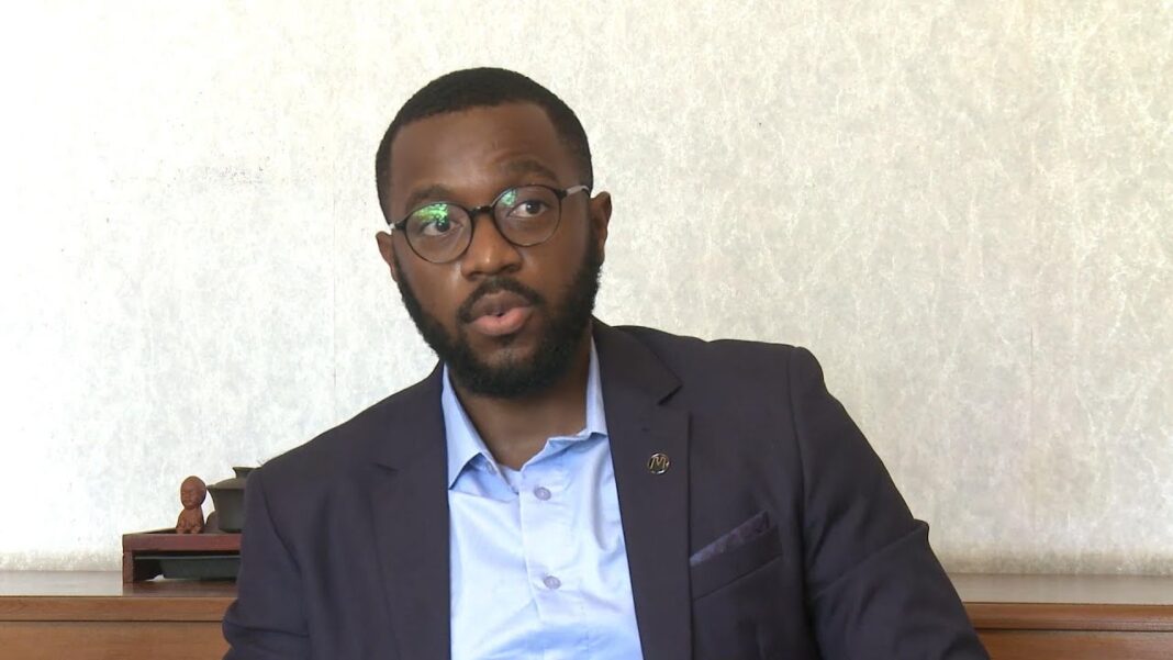 BRICS important mechanism for emerging economies: Zambian experts