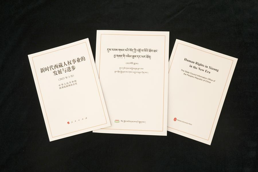 Xinhua Commentary: Human rights progress in Xizang highlights effective governance