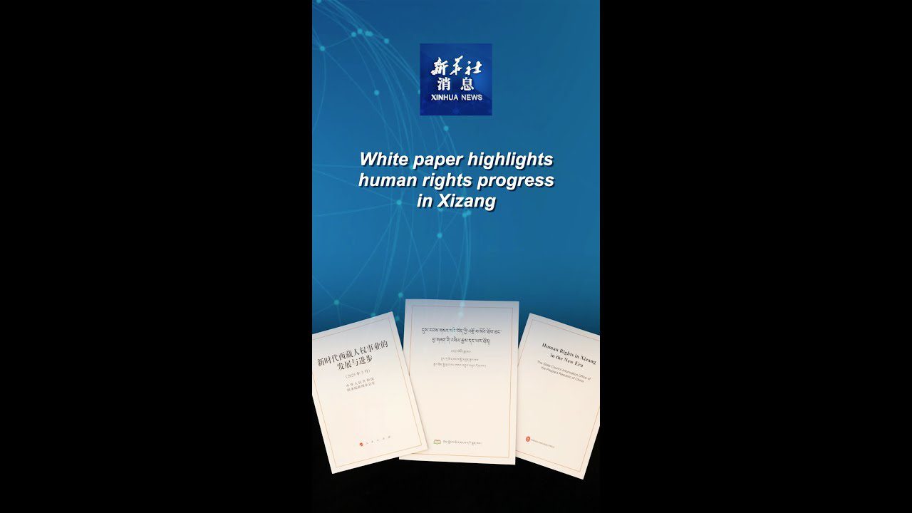 Xinhua Headlines: White paper highlights historic human rights progress ...