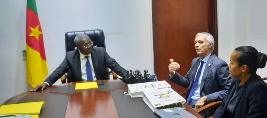 Développement en Afrique Centrale : L’Agence Française de Développement dévoile son bilan 2024