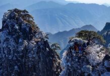 Coup de foudre pour le mont Huangshan : le pèlerinage artistique d’un photographe français passionnéssionné