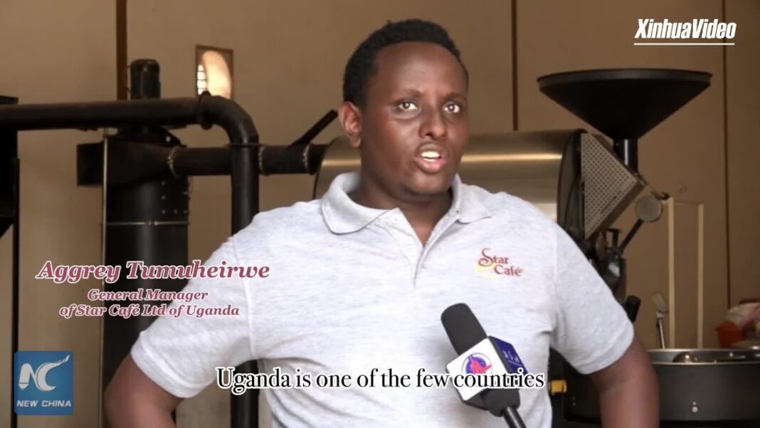 The journey of the coffee bean (1): Birthplace in Africa