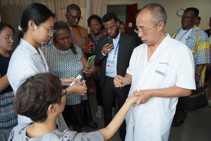 Des professionnels de santé africains approfondissent leurs connaissances en médecine traditionnelle chinoise dans le nord de la Chine