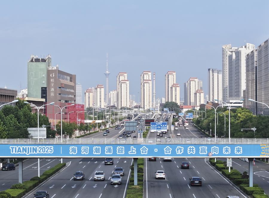 (SCO Tianjin Summit) Interview: SCO Tianjin Summit to energize cooperation, chart blueprint: diplomat