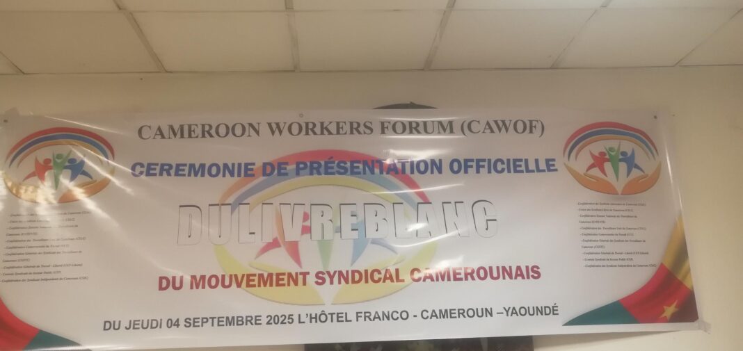 Civil Society Organization : The « white book » of the Cameroon Trade Union unveiled