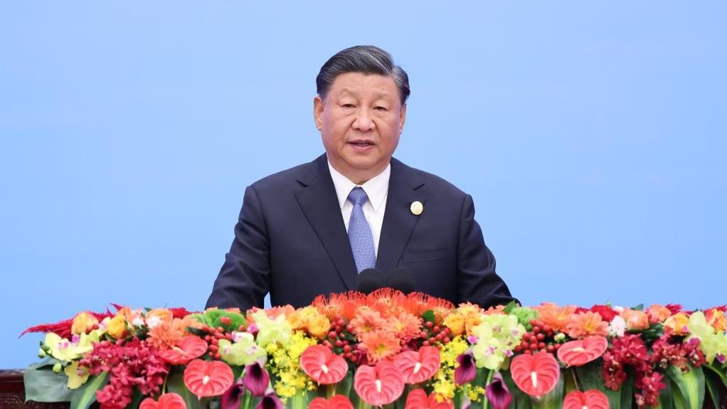 Chinese president appoints new ambassadors