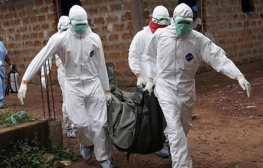 Sénégal : le bilan de l’épidémie de fièvre de la Vallée du Rift s’élève à 17 morts