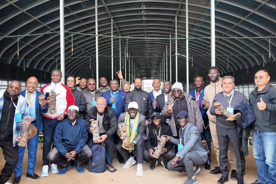 Xi calls for steady sailing forward of the giant ship of China-U.S. relations