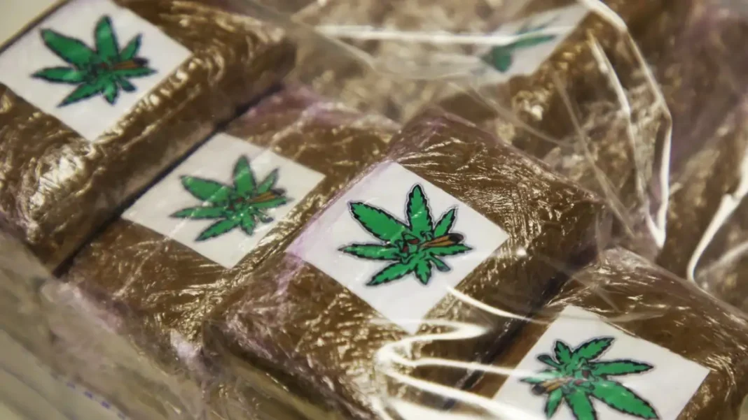 Bénin : dix individus porteurs d’une forte quantité de drogues interpellés dans le sud-est du pays