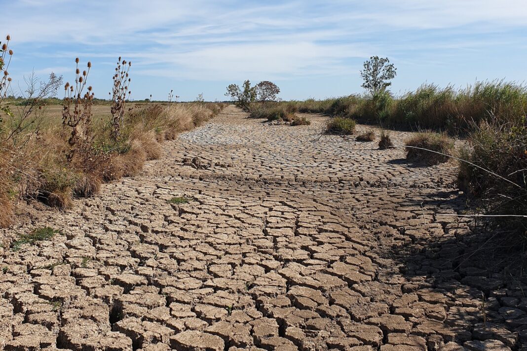 Changement climatique: COP 30 toujours des promesses pourtant le monde continu de brûler