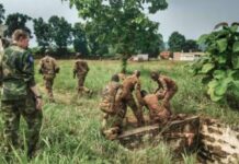 Centrafrique : cinq civils tués par des hommes armés dans le sud-est