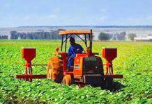 Sénégal : le gouvernement promet la construction de 28 plateformes agropoles et de 30 zones industrielles à travers le pays