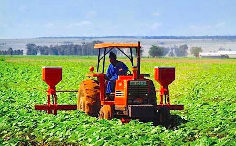 Sénégal : le gouvernement promet la construction de 28 plateformes agropoles et de 30 zones industrielles à travers le pays