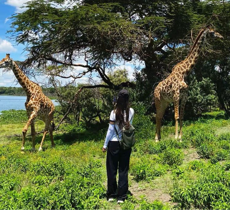 L’Afrique, une destination touristique de plus en plus prisée par les jeunes Chinois