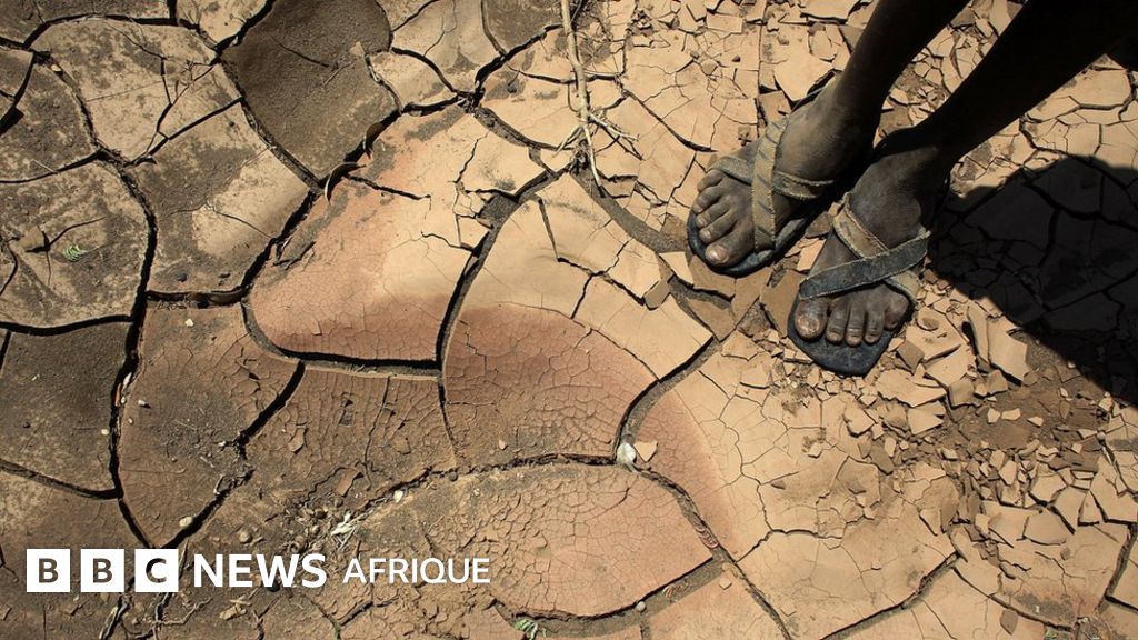 Le changement climatique pourrait causer plus de 500.000 décès dus au paludisme en Afrique d’ici 2050