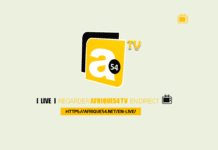 Actu Média : L’audience de la chaîne AFRIQUE54 TV explose sur les multiplateformes internationales de diffusion