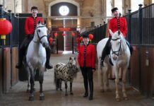 L’année chinoise du Cheval célébrée à Chantilly à travers l’art équestre de tradition française