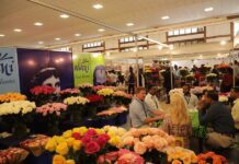 ZOOM AFRIQUE : malgré la prolongation de l’AGOA, l’incertitude politique assombrit l’avenir du commerce entre les Etats-Unis et l’Afrique