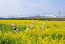 Xinhua Headlines: 15e plan quinquennal pour garantir une progression régulière et à long terme de la modernisation chinoise