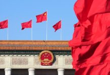 Interview: China’s modernization to boost global stability, growth, says former APEC official