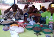 Au Cameroun, la ville d’Esse vibre au rythme de la foire des semences paysannes