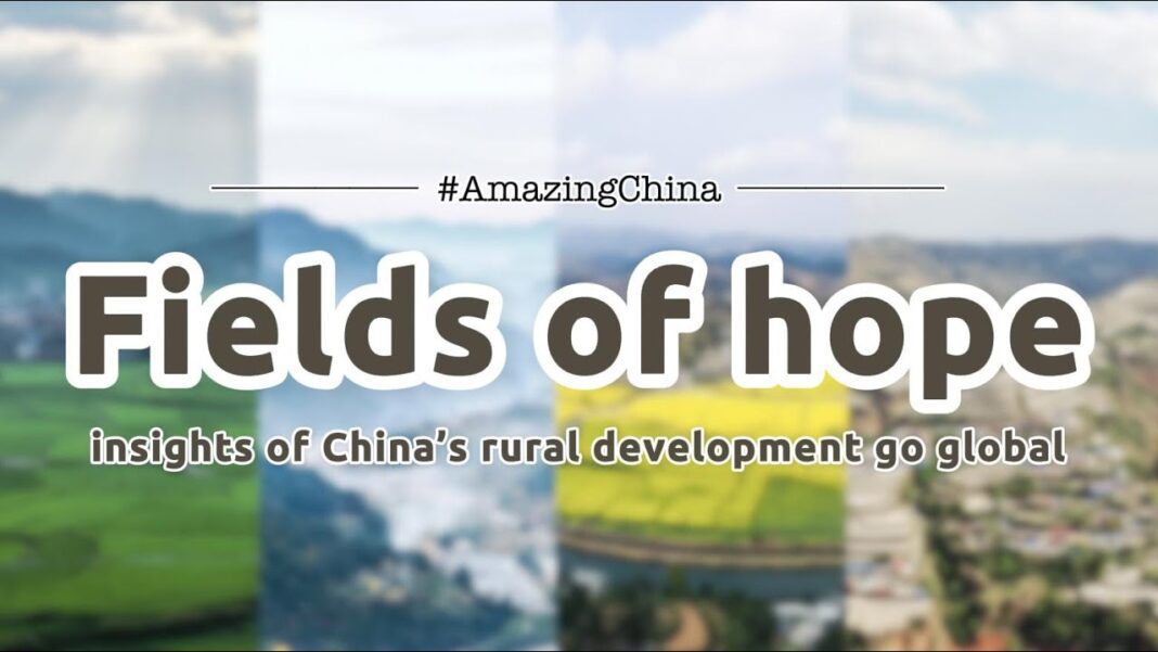 AmazingChina | Fields of hope: insights of China’s rural development go global