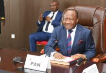 Au Cameroun, le Parlement convoqué en Congrès pour une révision constitutionnelle