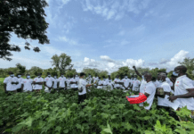Bénin : arrivée de la quatrième mission chinoise d’appui à la production cotonnière à Cotonou