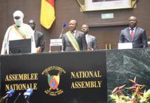 Cameroun : Vers l’instauration d’un Poste de Vice-Président et de la Révision du Code Electoral