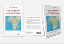 Géopolitique mondiale : L’écrivain gabonais Prof. Steeve Nzegho Dieko décrypte les enjeux de la gestion de l’eau dans le Golfe de Guinée