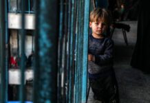 L’OMS suspend ses opérations d’évacuations médicales à Gaza après la mort d’un sous-traitant