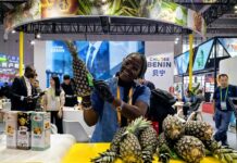 Bénin : les acteurs du monde agricole saluent l’ouverture totale du marché chinois