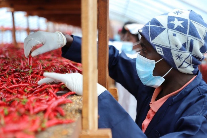 Commentary | Zero tariffs forge stronger China-Africa partnership toward shared prosperity
