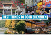 Trip to Shenzhen