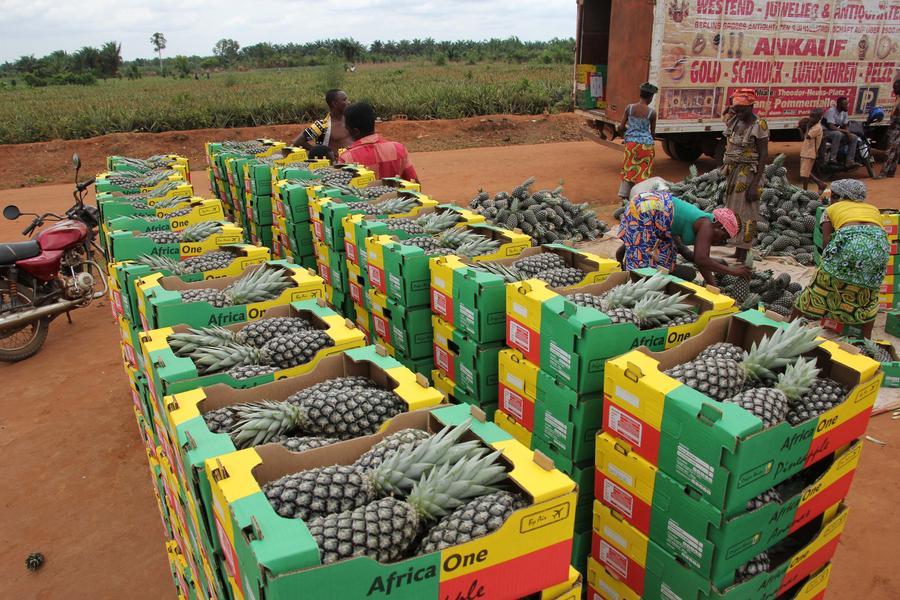 Le Bénin se dote d’une stratégie nationale pour accélérer la transformation des systèmes alimentaires