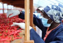 (Multimédia) Zéro droit de douane : la Chine et l’Afrique vers une proximité sans précédent