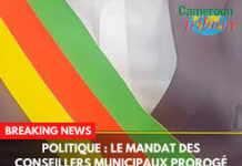 Cameroun : le président proroge le mandat des conseillers municipaux jusqu’en février 2027