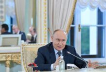 China enjoys robust growth, growing global influence : Putin
