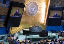 Cinq pays élus membres non permanents du Conseil de sécurité de l’ONU