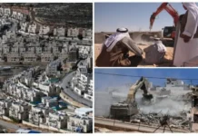 L’UA, la Ligue arabe et l’OCI condamnent les actions illégales d’Israël dans les territoires palestiniens occupés