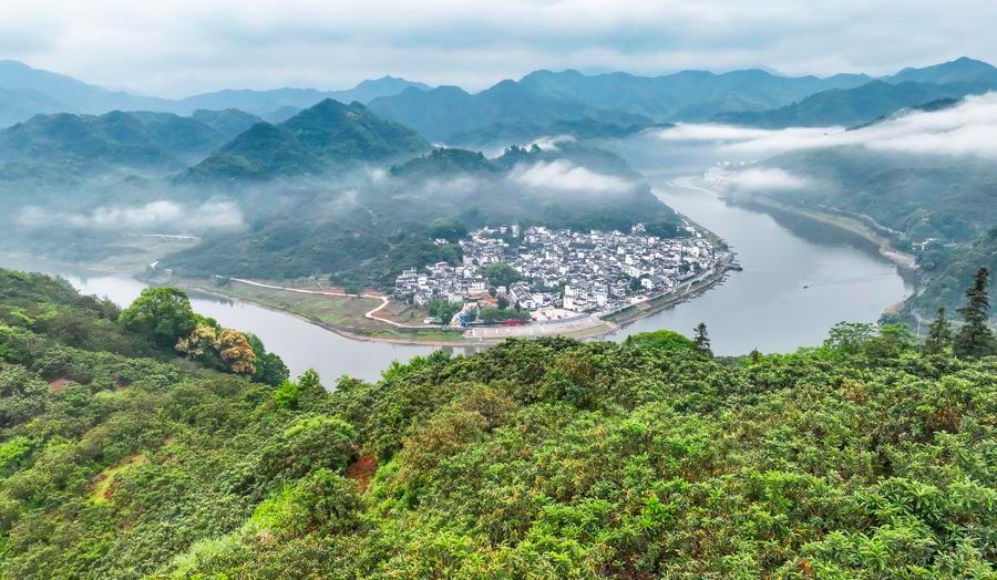 Xi Story: When lush mountains become a measure of governance