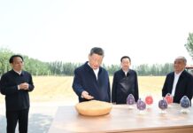 Xi calls for solid measures to modernize agriculture, rural areas