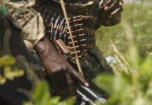 Cameroun : deux terroristes de Boko Haram « neutralisés » par l’armée dans l’Extrême-Nord
