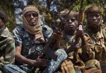 Centrafrique : quatorze personnes enlevées par des hommes armés dans le sud-est du pays