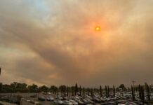 Espagne : feux de forêt dans la région de Madrid
