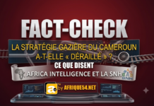 FACT-CHECK – AFRIQUE54 | La stratégie gazière du Cameroun a-t-elle « déraillé » ? Ce que disent Africa Intelligence et la SNH