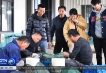 L’expérience de la réduction de la pauvreté en Chine offrent des pistes aux pays en développement