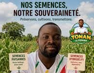 Sénégal : le gouvernement mise sur la reconstitution du capital semencier pour parvenir à la souveraineté alimentaire