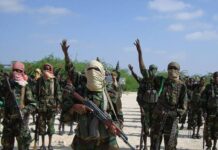 Somalie : 35 combattants chebabs tués dans des frappes aériennes de l’armée