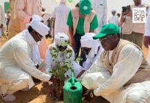 Tchad : lancement de la Semaine nationale de l’arbre pour planter 10 millions de plants
